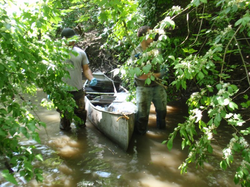 2016 River Sweep