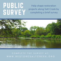 https://www.dgsd.org/wp-content/uploads/Survey-Social-Media-Post-Restore-Salt-Creek-240x240.png