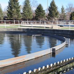 https://www.dgsd.org/wp-content/uploads/Wastewater-Treatment2-e1504295950680-240x240.jpg